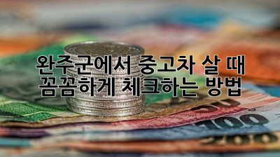 완주군에서 중고차 살 때, 꼼꼼하게 체크하는 방법!