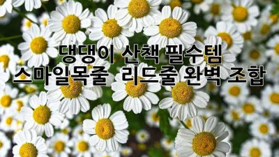 댕댕이 산책 필수템! 😄 스마일목줄 & 리드줄 완벽 조합 ✨