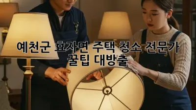 ✨ 예천군 효자면 주택 청소, 전문가 꿀팁 대방출! 🏡 #